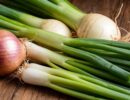 Лук - сухой и свежий, репка и зеленый